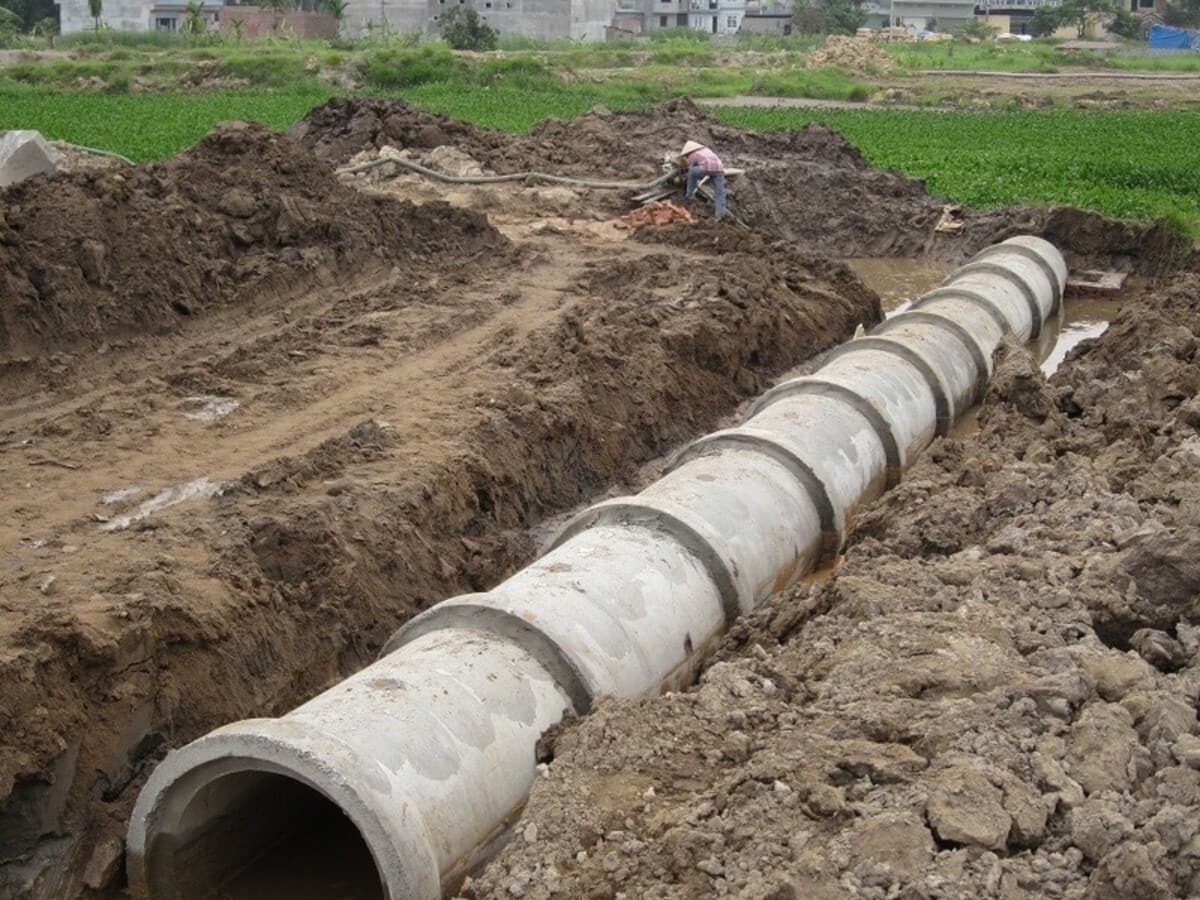 Đóng Góp Cho Sự Phát Triển Bền Vững Của Phường Tân Phú